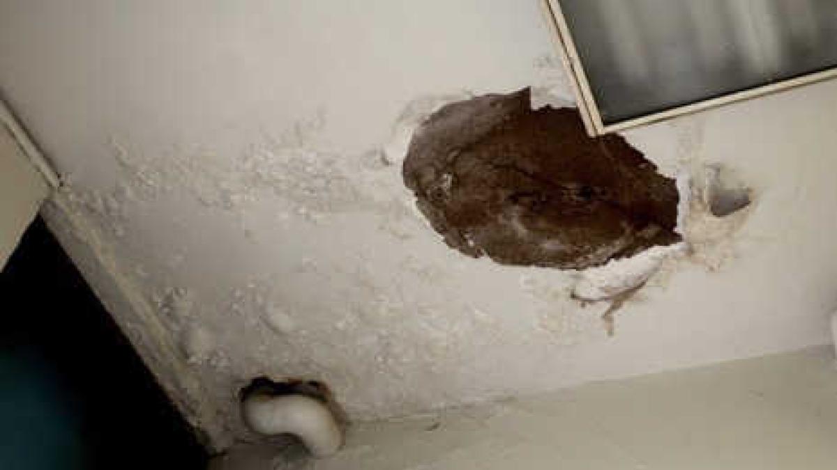 school damage